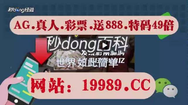 2024澳门天天开好彩大全免费,|精选解释解析落实