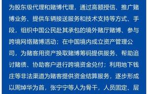 今晚澳门特马必开一肖,|精选解释解析落实