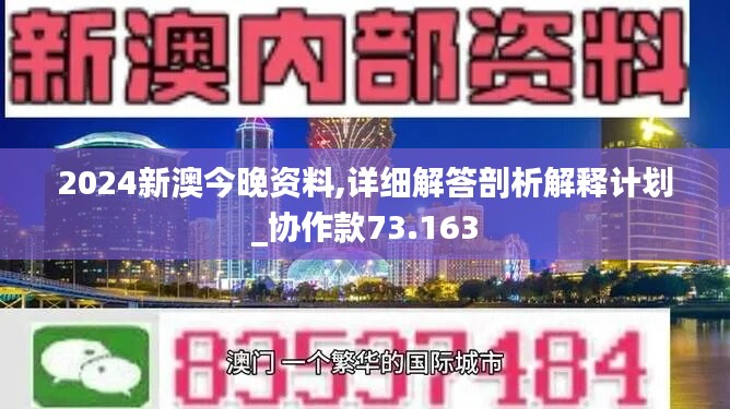 2024新澳今晚资料,|精选解释解析落实