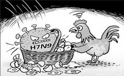 h7n9禽流感最新消息