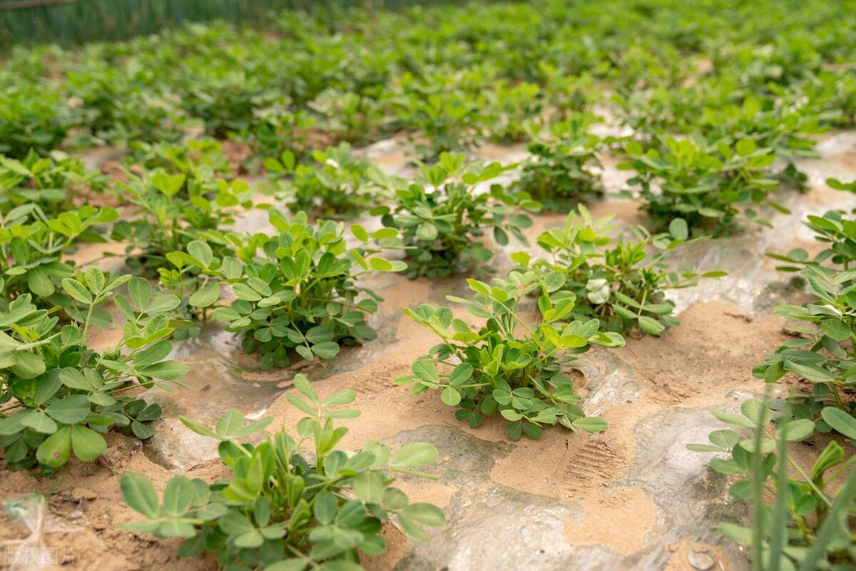 地方美食网 第6页