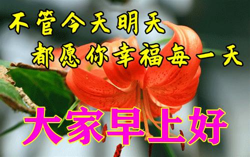 最新早上好动图