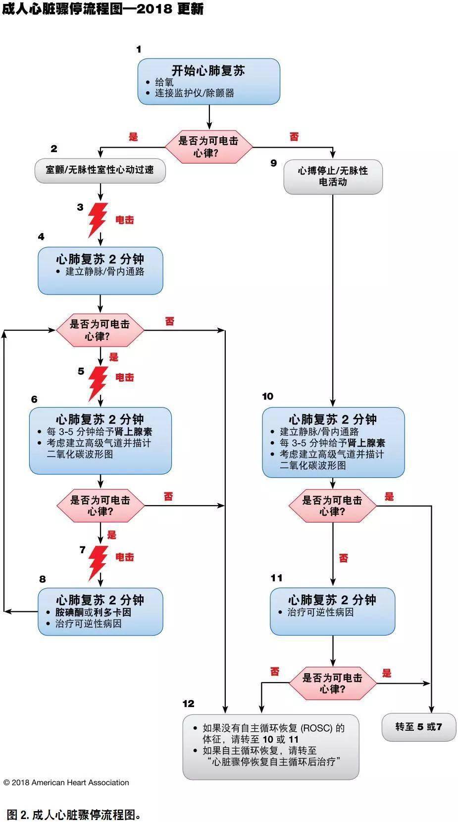 最新心肺复苏指南